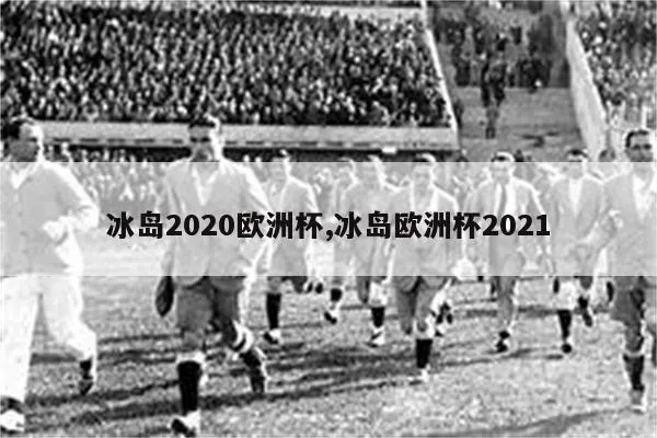 冰岛欧洲杯预选赛连胜 冰岛无缘2021欧洲杯-第2张图片-www.211178.com_果博福布斯